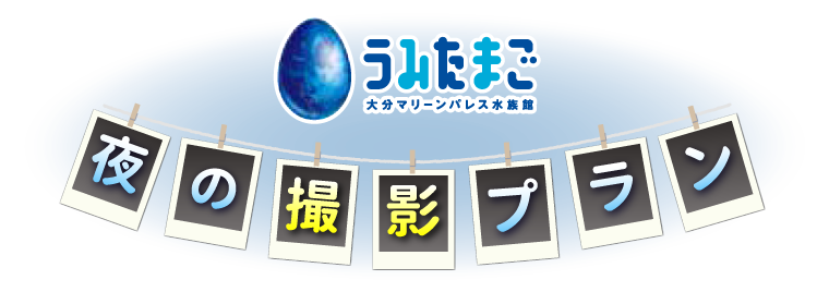 夜の撮影プラン